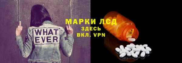 ГАЛЛЮЦИНОГЕННЫЕ ГРИБЫ Переславль-Залесский