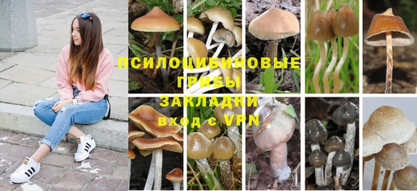 бутират Пересвет