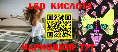 крисы Абакан
