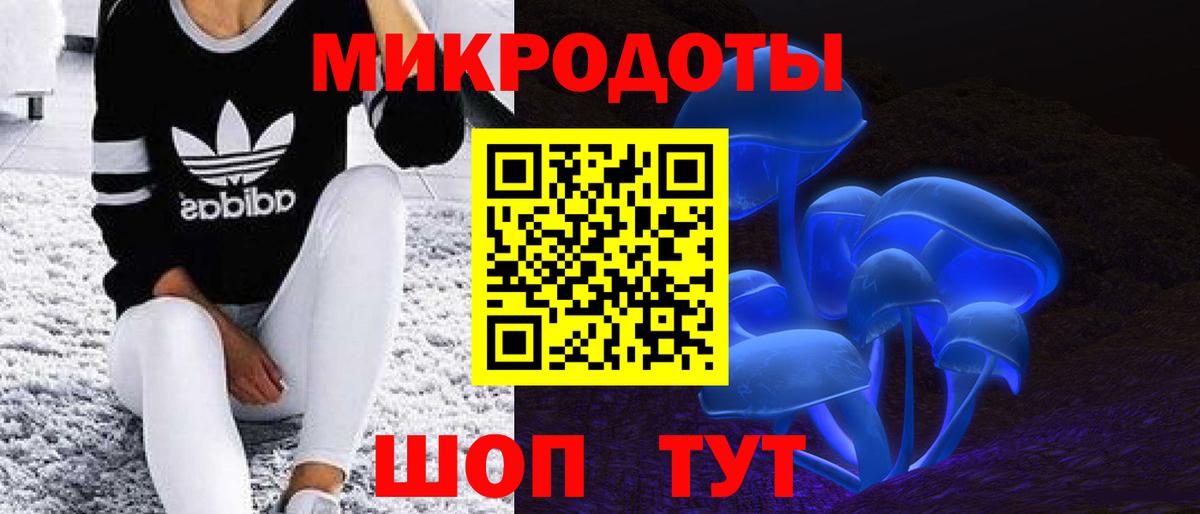 Псилоцибиновые грибы Psilocybe  где купить наркоту  Галлюциногенные грибы мицелий  Абинск  Вход с VPN 