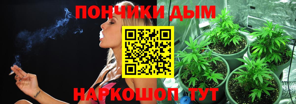 Шишки марихуана тримм  Вход с VPN  Абинск  Бошки Шишки семена  Канабис конопля 